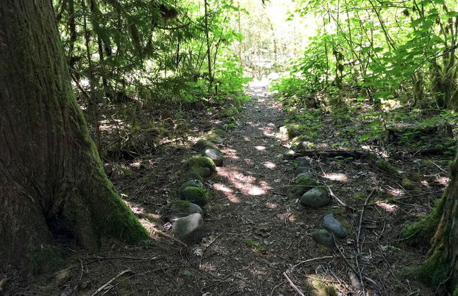 78mbr - Wood Stove - Wifi - Pets Ok - BBQ - Sleeps 6 - Foto 47