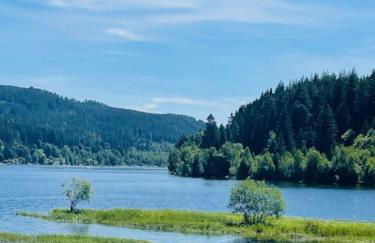 Ferienhaus am Bächle - Foto 18