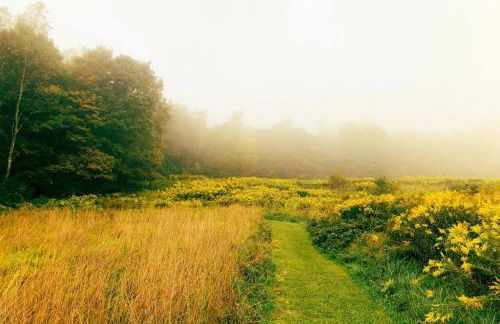 Hamden Hill House - Foto 32