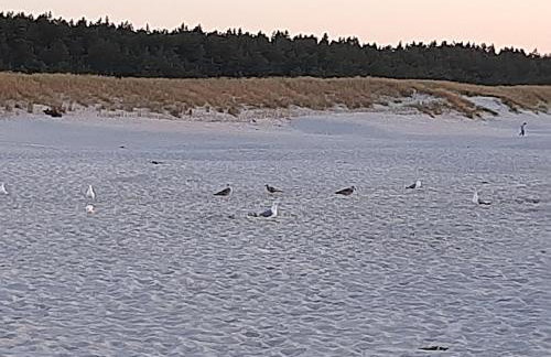 Magico Posto - Foto 45