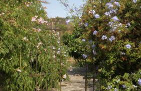 Casa Rural El Lirón - Foto 33