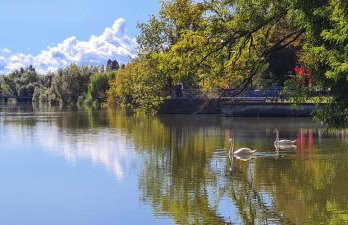 Happy Sparrow - Foto 54