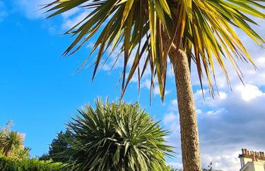 Meadowside Holiday Apartments - Foto 6