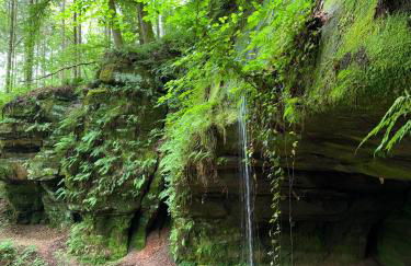 Wohlfühl-Oase in der Villa "Schöne Aussicht" - Foto 23