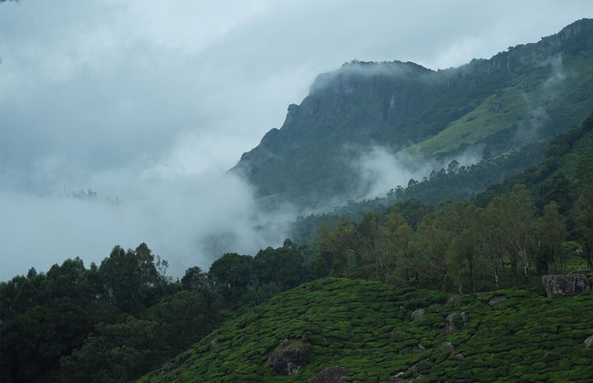 Tentgram Bungalow Suryanelli - Foto 17