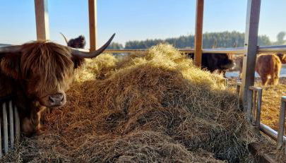 Ferienhaus Alex - Foto 5