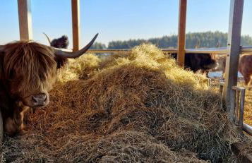 Ferienhaus Alex - Foto 5