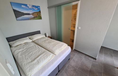 Weingut-Gästehaus-Haas - Foto 9