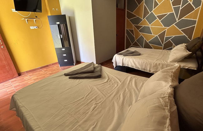 Ica adventures out of the woods - Photo 2