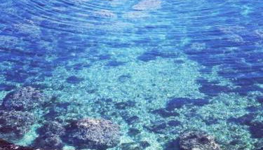 Magnolia casa di campagna Costa dei Trabocchi - Foto 2