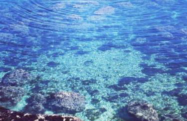 Magnolia casa di campagna Costa dei Trabocchi - Foto 2