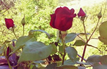 Lorantina Luxury Sea View House with Starlink WiFi near Barbati & Ipsos - Photo 70