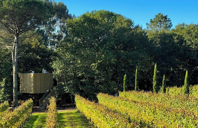 Enoturismo María Manuela - Photo 54