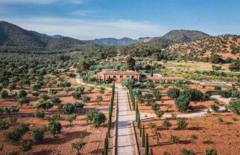 Finca Es Cabas - Foto 93