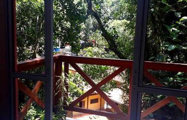 Casa da Floresta - Foto 5