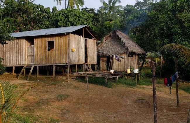 Excursão ao santuário de macacos de Mocagua - Foto 5