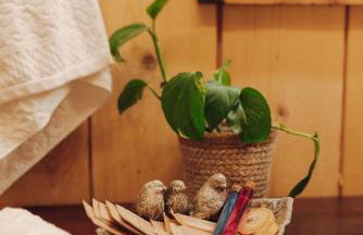 Iglasta chata - Foto 17