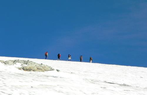 Panorama-Apartments Oberkofl - Photo 69