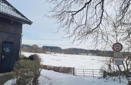 Nature & Local Transport - Foto 2