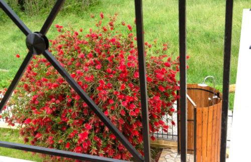 ROSE HOUSE - Foto 21