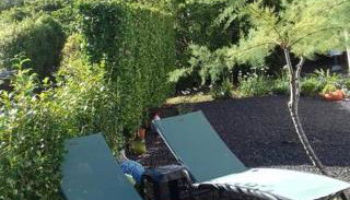 Sunflower Guest House - Madalena - Pico - Photo 2, Garden, sunbed