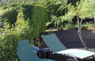 Sunflower Guest House - Madalena - Pico - Photo 2