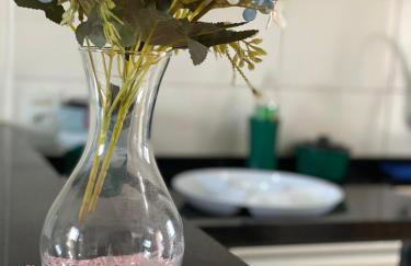 Ap Inteiro Por do Sol Foz do Iguaçu - Foto 14