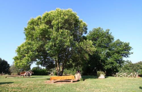 Romantic Farmhouse with Pool - Foto 8