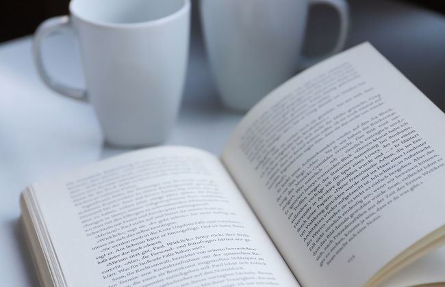 Plein Soleil - Photo 21