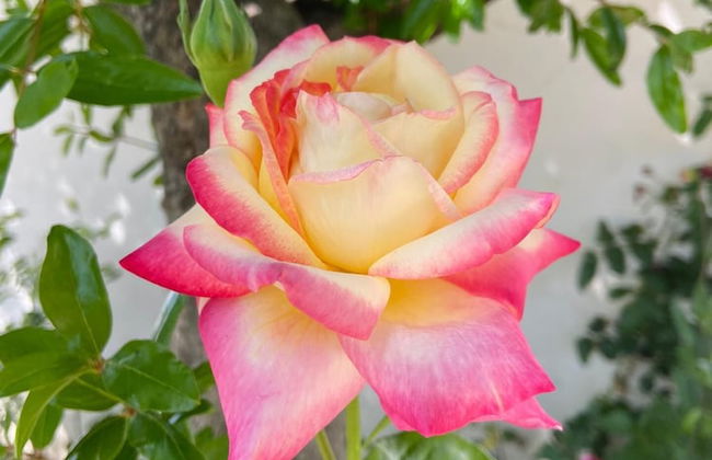 VISITAR BIOUCAS I - Casa Inteira Familiar e Grupo de Amigos - Foto 55