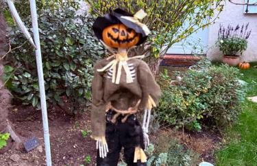 Maisonnette individuelle au coeur de Vernon - Foto 41