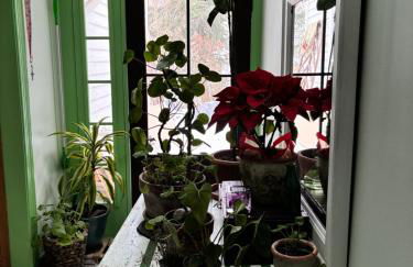 House on the Gwynns Falls - Foto 19