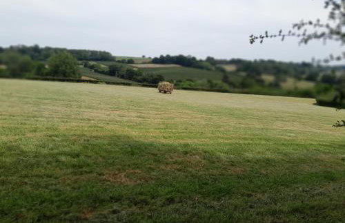 Little Greenwood Shepherd Hut - Sleeps 2 - Foto 19