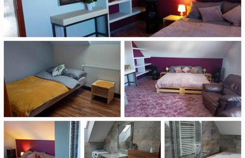 Słowikowy Zakątek - Foto 17