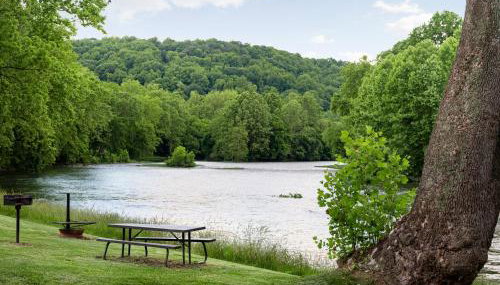 Shenandoah dog friendly cabin - river access, BBQ, outdoor dining and lounging, fire pit, AWD or 4WD encouraged - Foto 2