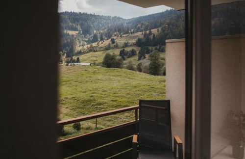 Schwarzwald Loft Panoramablick Menzenschwand - Foto 19