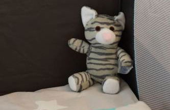 Fewo "Elsa" Reichmannsdorf - Brötchenservice - Foto 16