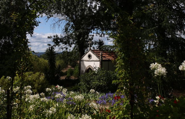 Lugar da Pedra Alta - Foto 36