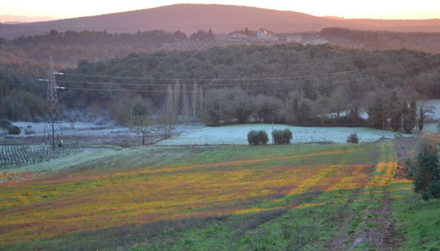 Podere Ficareto Farm - Foto 4, Miscelánea