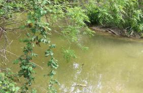 Agriturismo cavallin del papa - Foto 33