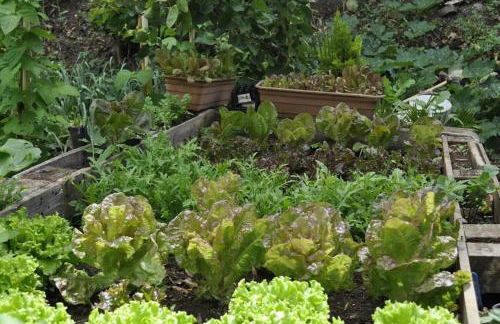 Quinta O Refúgio - Foto 60