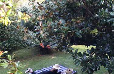 Palheirinho da Camélia - Foto 2