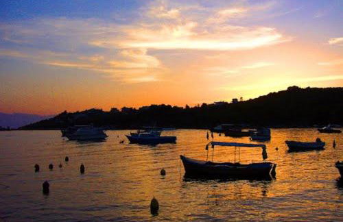 Alexander's - Foto 26