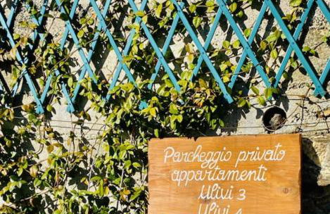 Cav Gli Ulivi di Bogliasco parcheggio privato gratuito - Foto 50