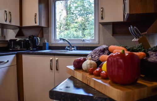 Robin's Retreat - Photo 7