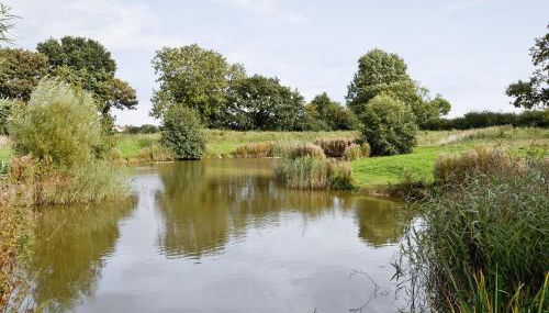 Rosemary - E4484A - Foto 3