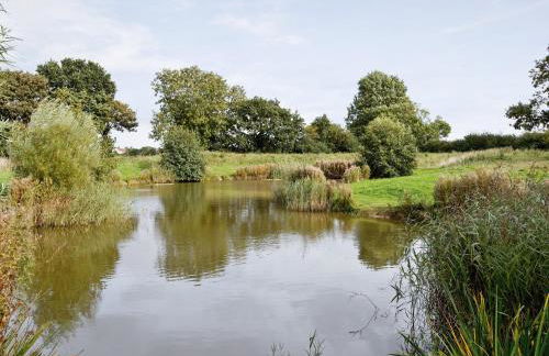 Sorrel - E4321 - Foto 14