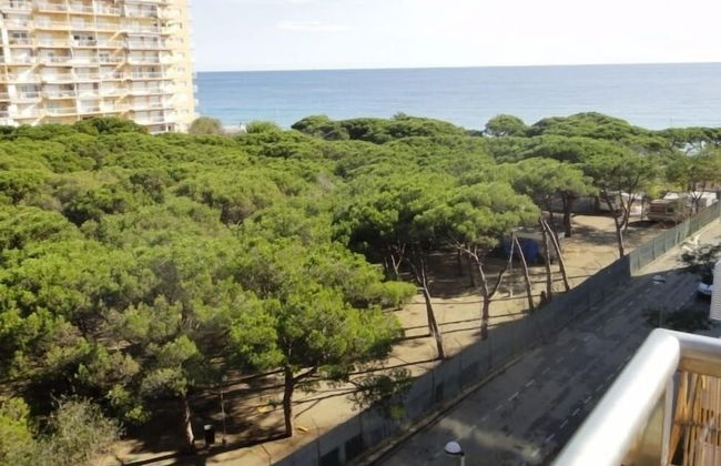 Apartamentos Villa De Madrid 46 - Photo 15