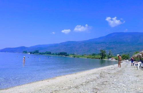 Harmony seaside apartments - Photo 31