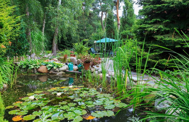 Cottage in Rusko Near Beaches and Pool - Photo 23